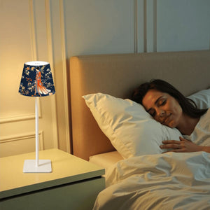 Rechargeable Asian-Inspired Accent Lamp